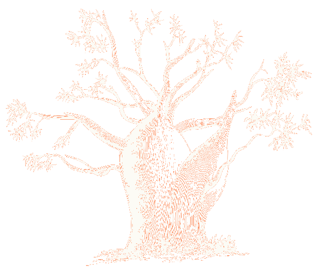 Baobab tree